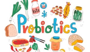 probiotic vs hệ miễn dịch